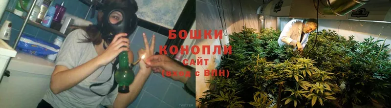 Шишки марихуана Bruce Banner  как найти   blacksprut как зайти  Богородск 